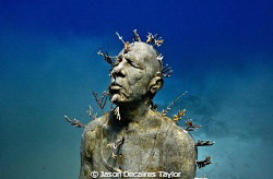 Underwater sculpture planted with live fire coral by Jason Decaires Taylor 